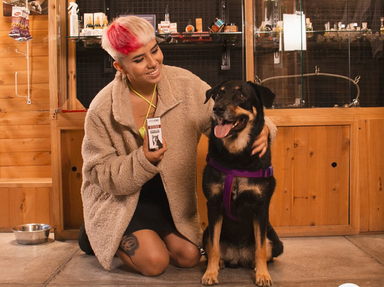 Howhigh Smokeshop-麦德林必去景点