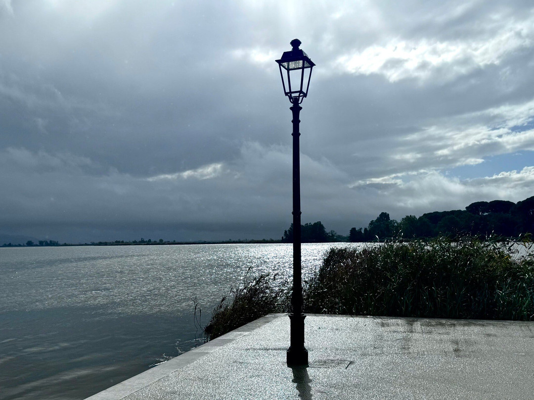 Lake Massaciuccoli景点图片