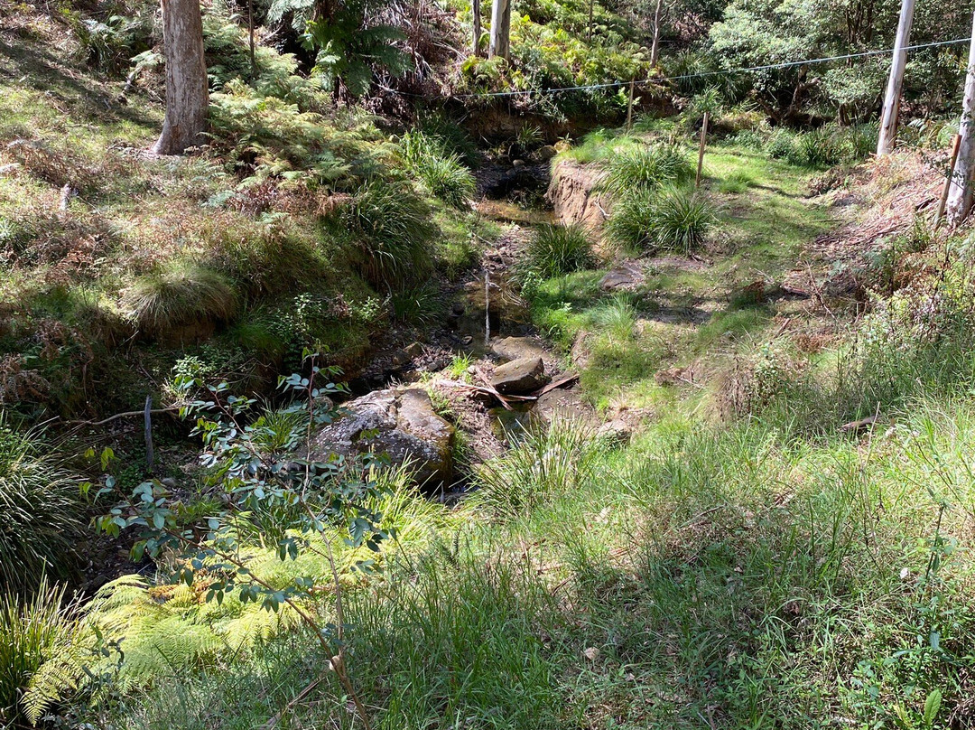 Sun Valley Fire Trail