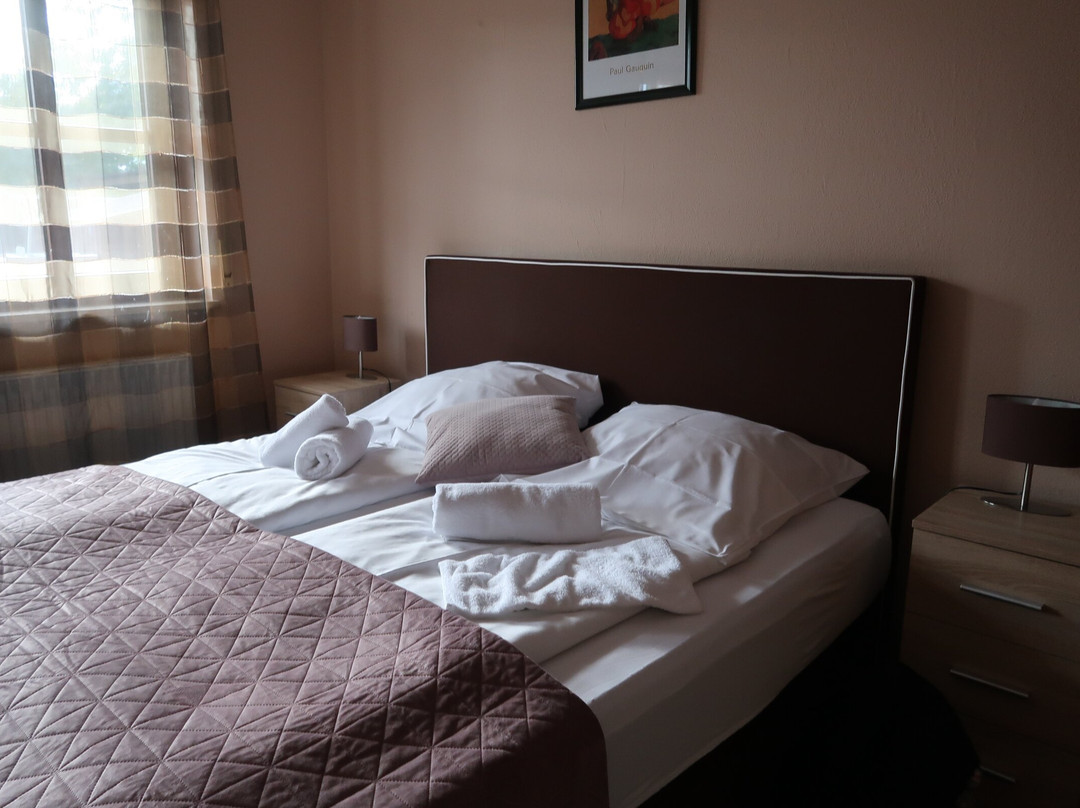 Hotel Alter Ritter主图