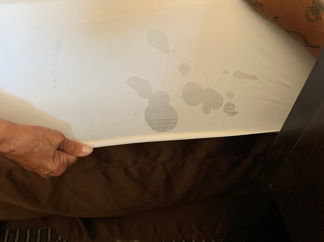 洛克威力拉马达酒店主图