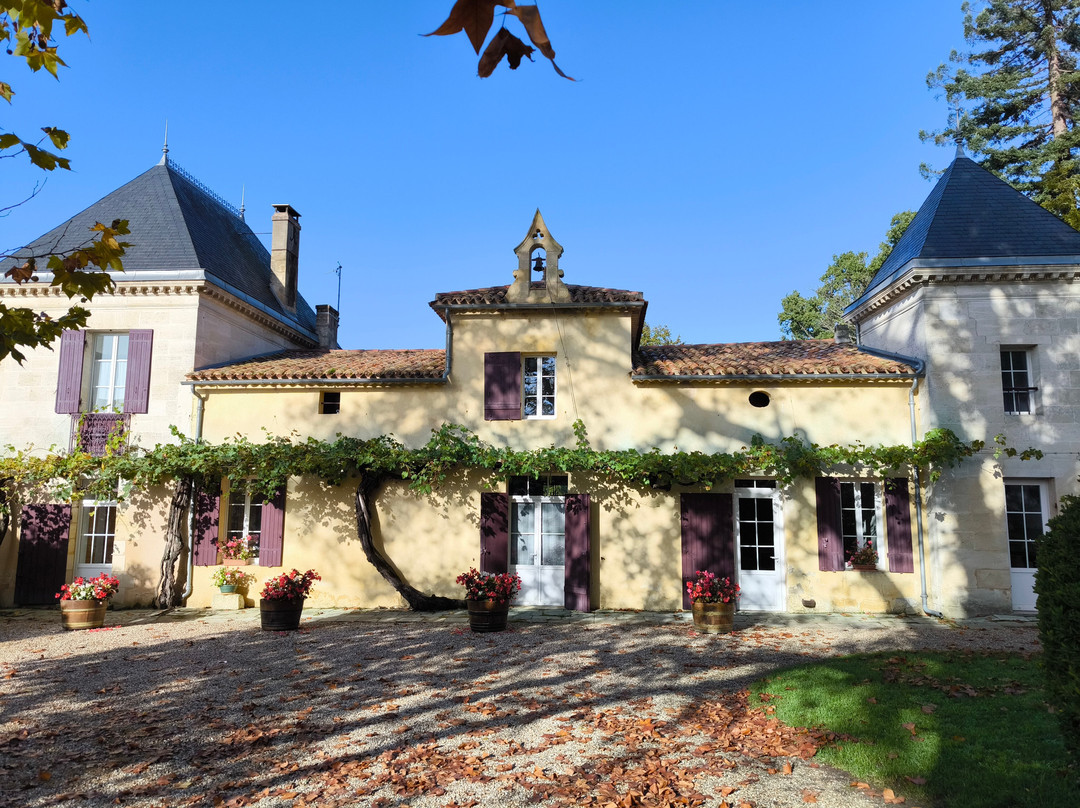 Domaine de la Grave - Vignobles Roche Teycheney景点图片