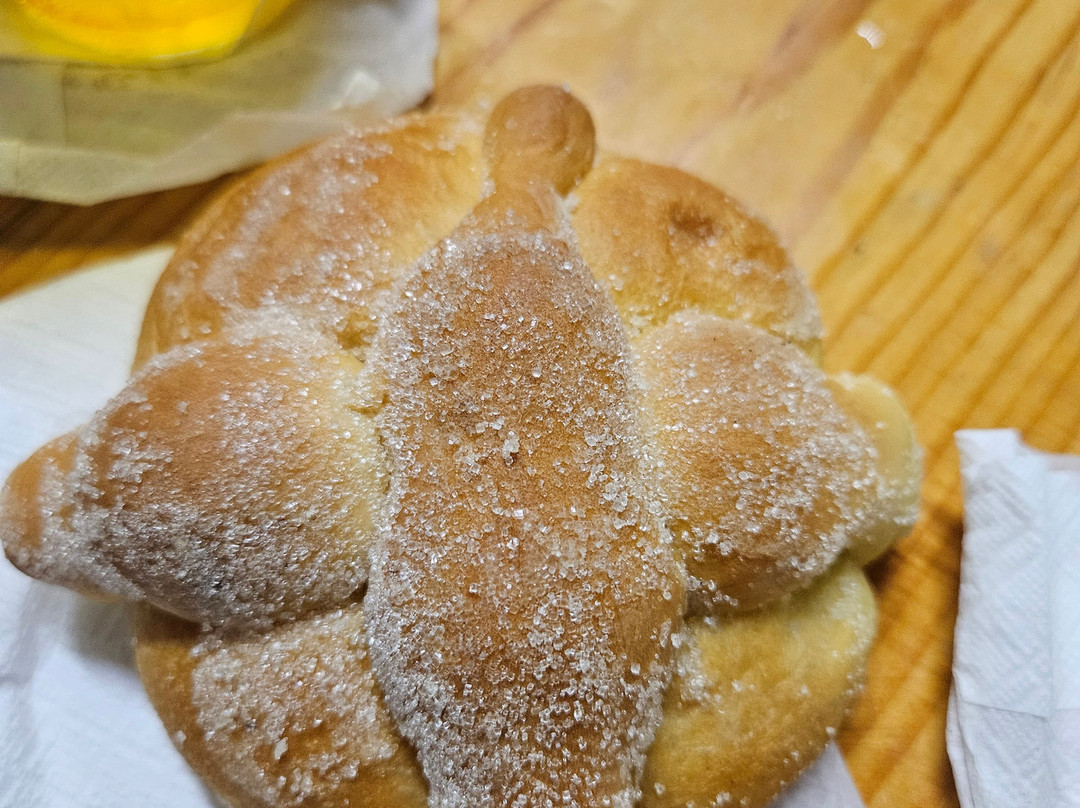 Puerto Vallarta Walking Adventures & Tours-瓦拉塔港必去景点