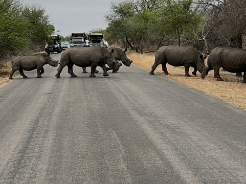 Legend Safaris-雾观必去景点