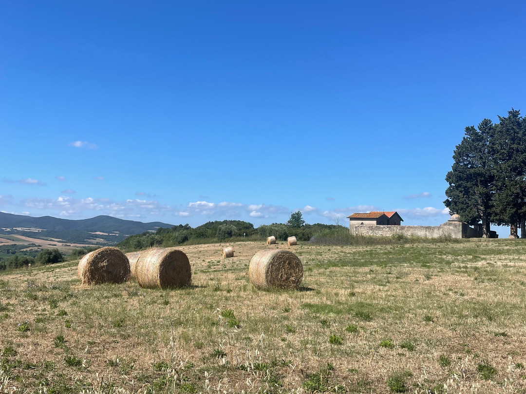 La Solitaria Pasta Farm景点图片