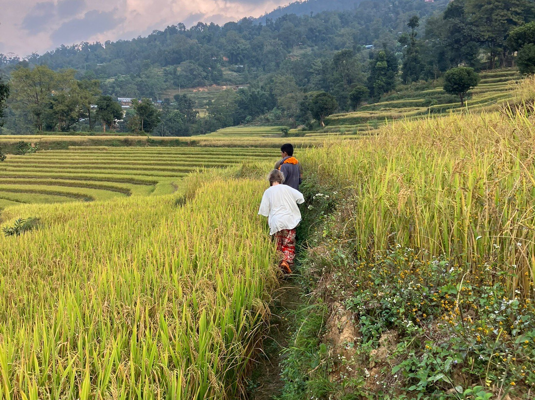 Innate Pension主图