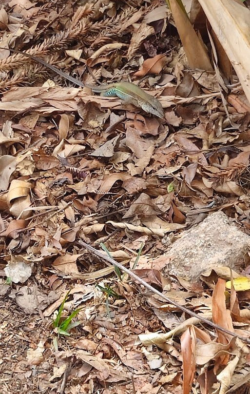 Pousada Famiglia Barthô主图