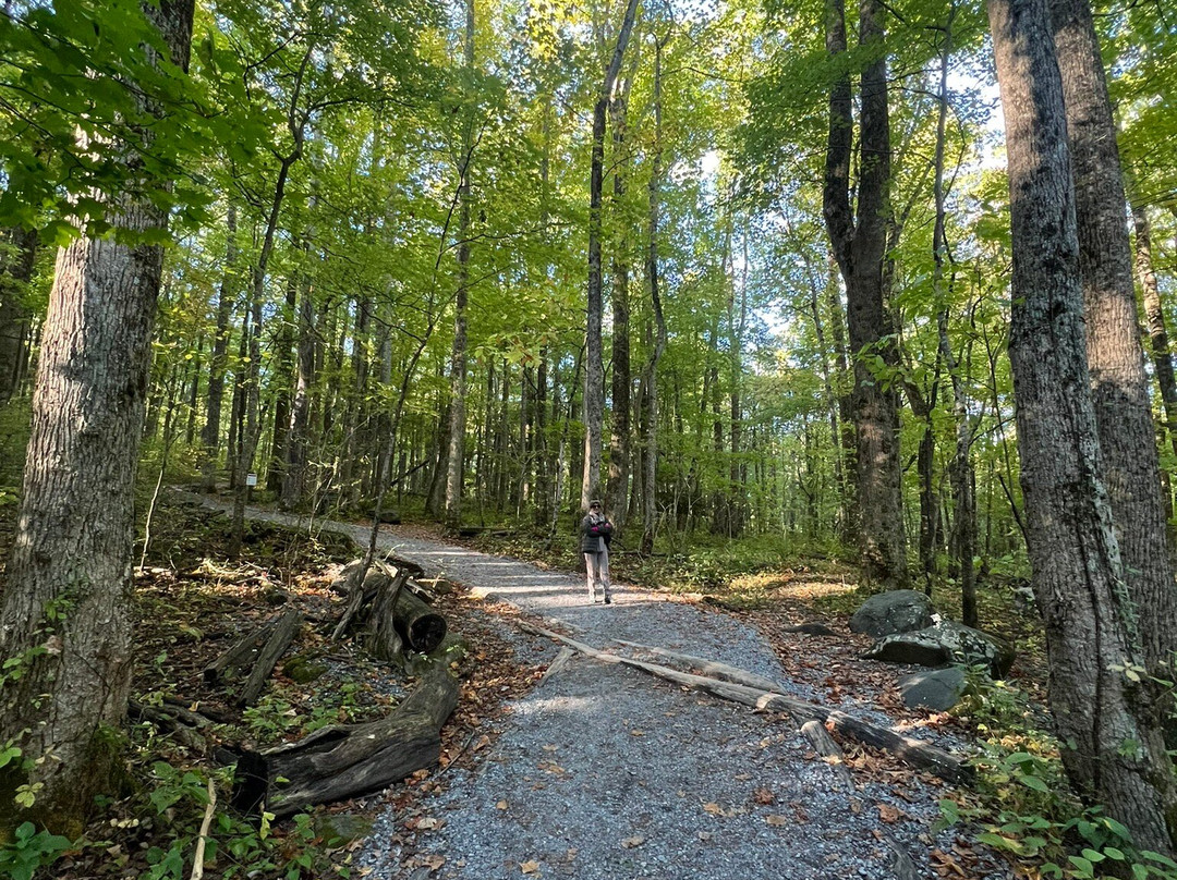 Rainbow Falls Trail-大雾山国家公园必去景点