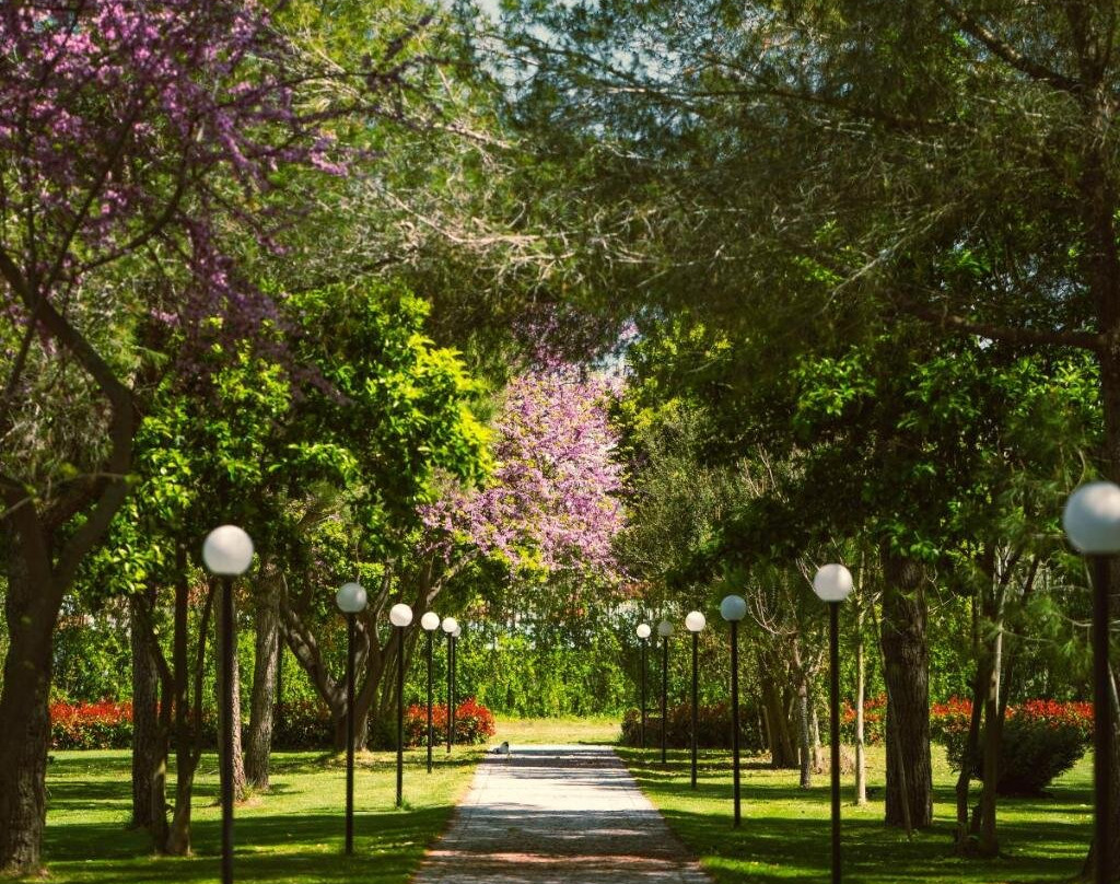 Green Park Divjake