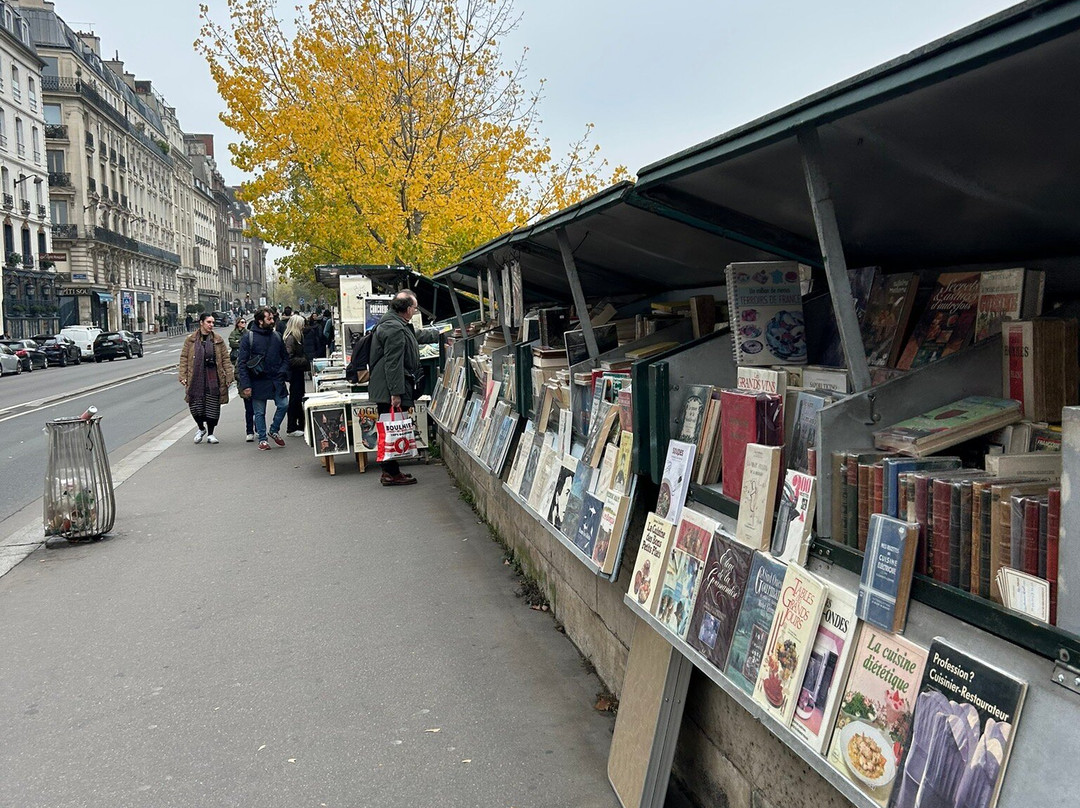 Les bouquinistes de paris-巴黎必去景点