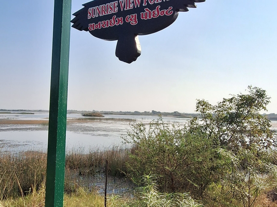 Khijadiya Bird Sanctuary景点图片