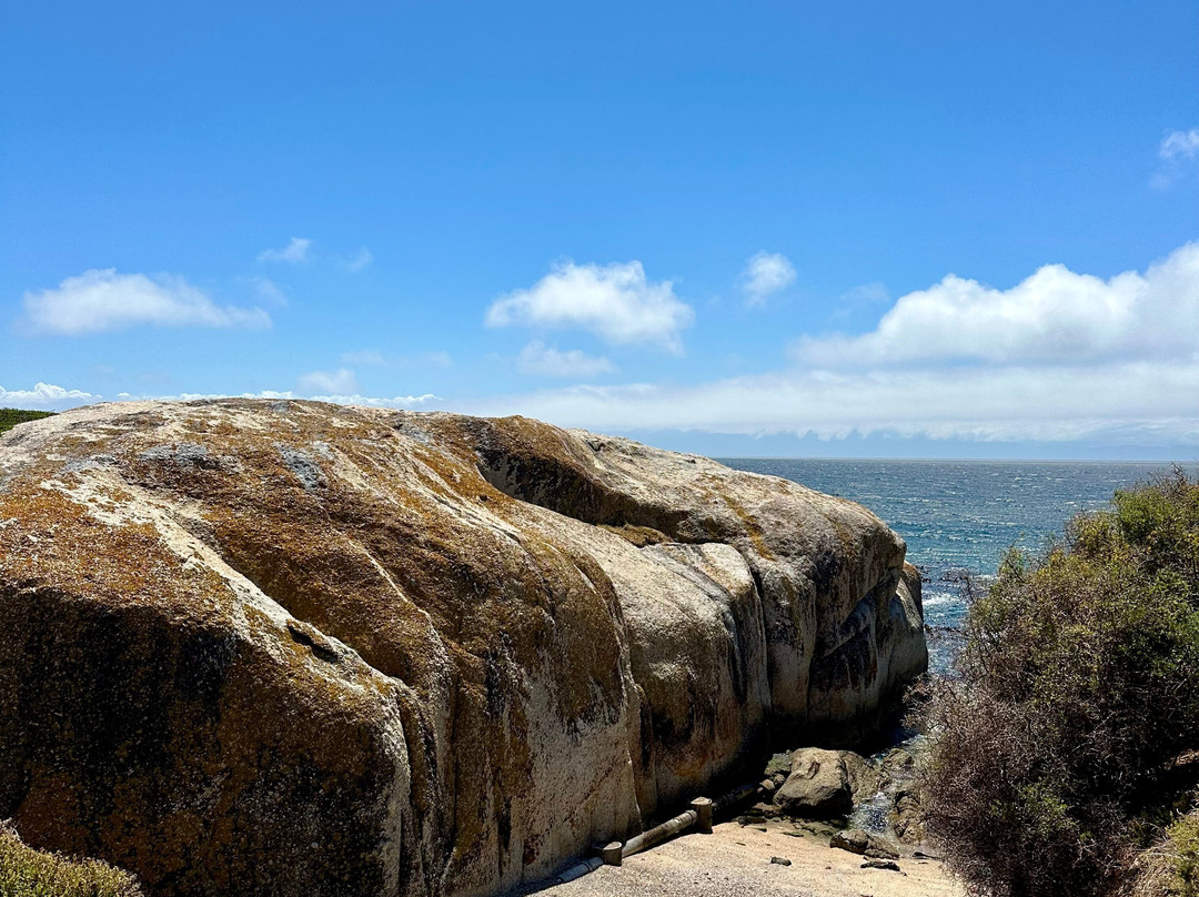 Inmotion - Create Your Balance-Sea Point必去景点