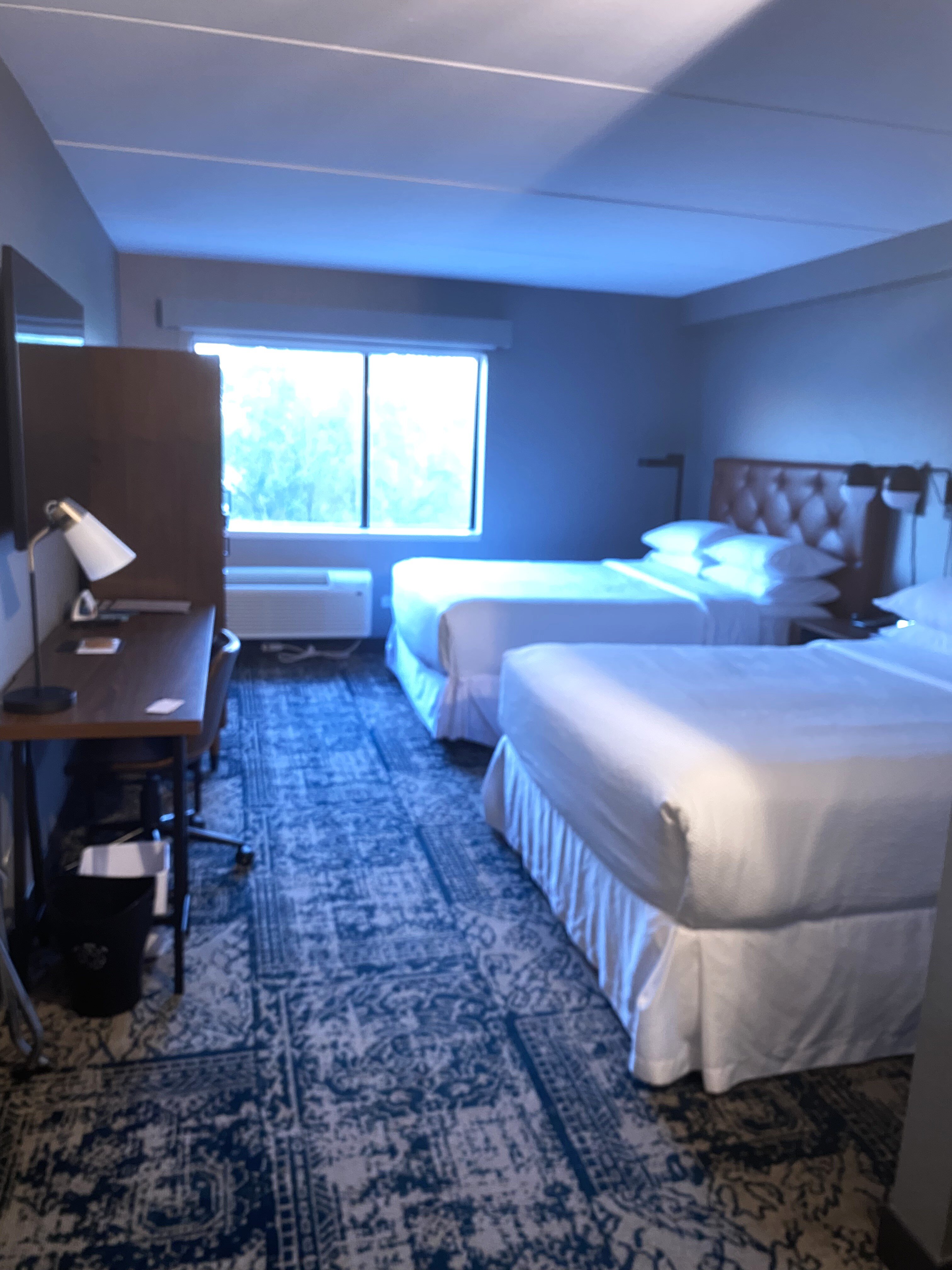 Four Points by Sheraton Winnipeg South-客卧