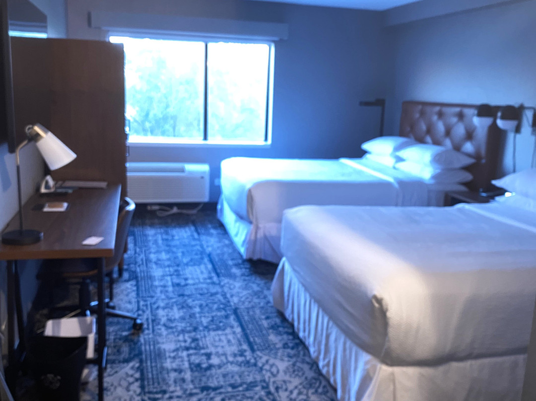 Four Points by Sheraton Winnipeg South主图