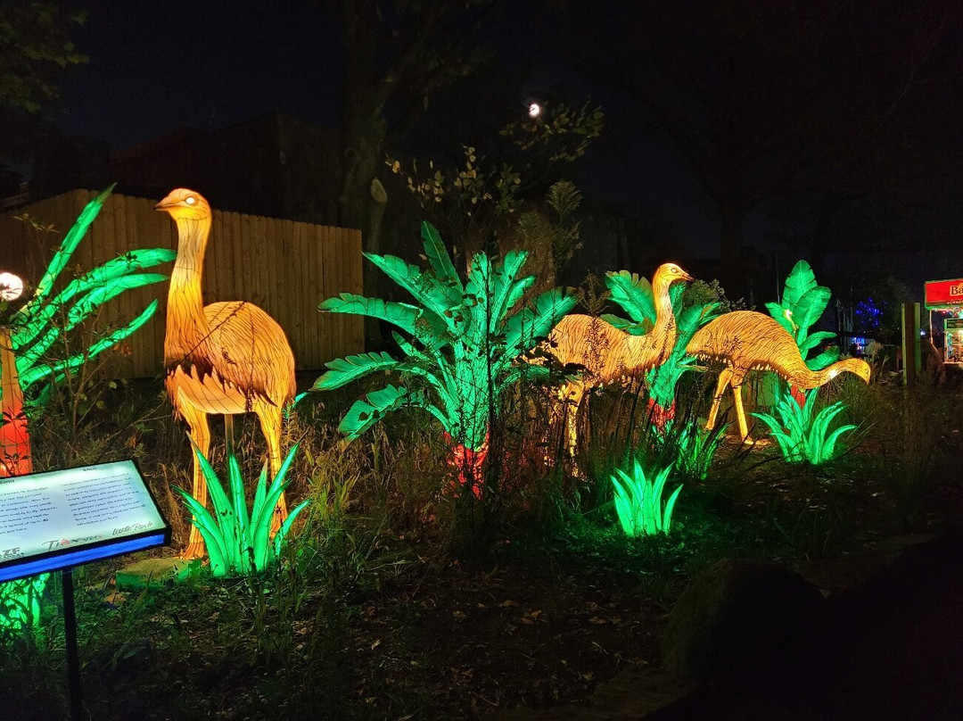 Little Rock Zoo-小石城必去景点