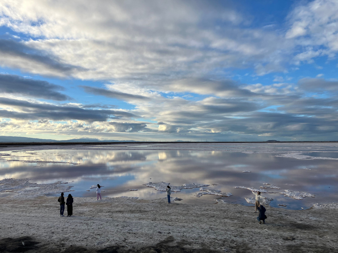 Alviso Marina County Park-Alviso必去景点