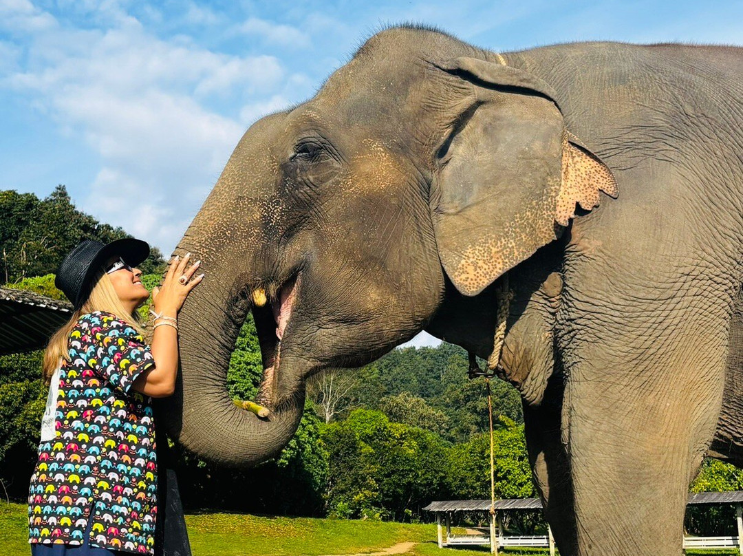 ForeverVacation Chiang Mai-清迈必去景点
