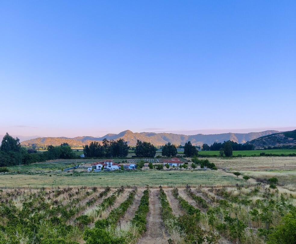 El Refugio De Santa Cruz-圣克鲁斯必去景点