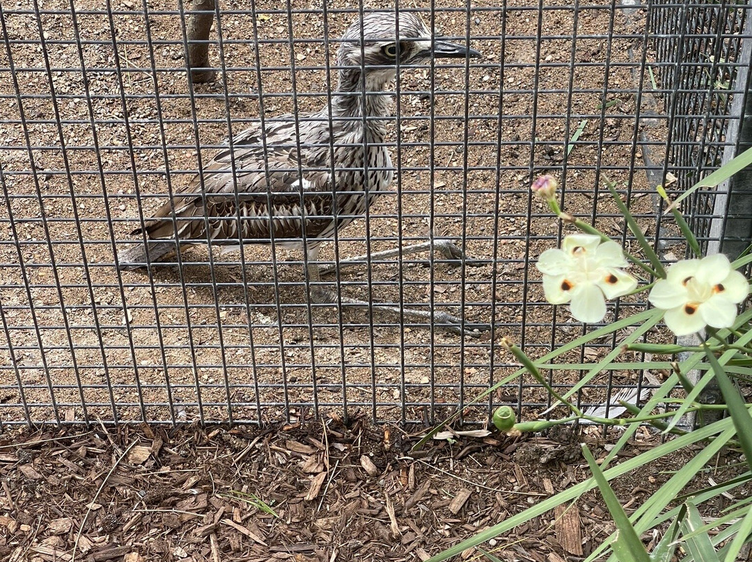 Amazement Farm & Fun Park-怀昂溪必去景点