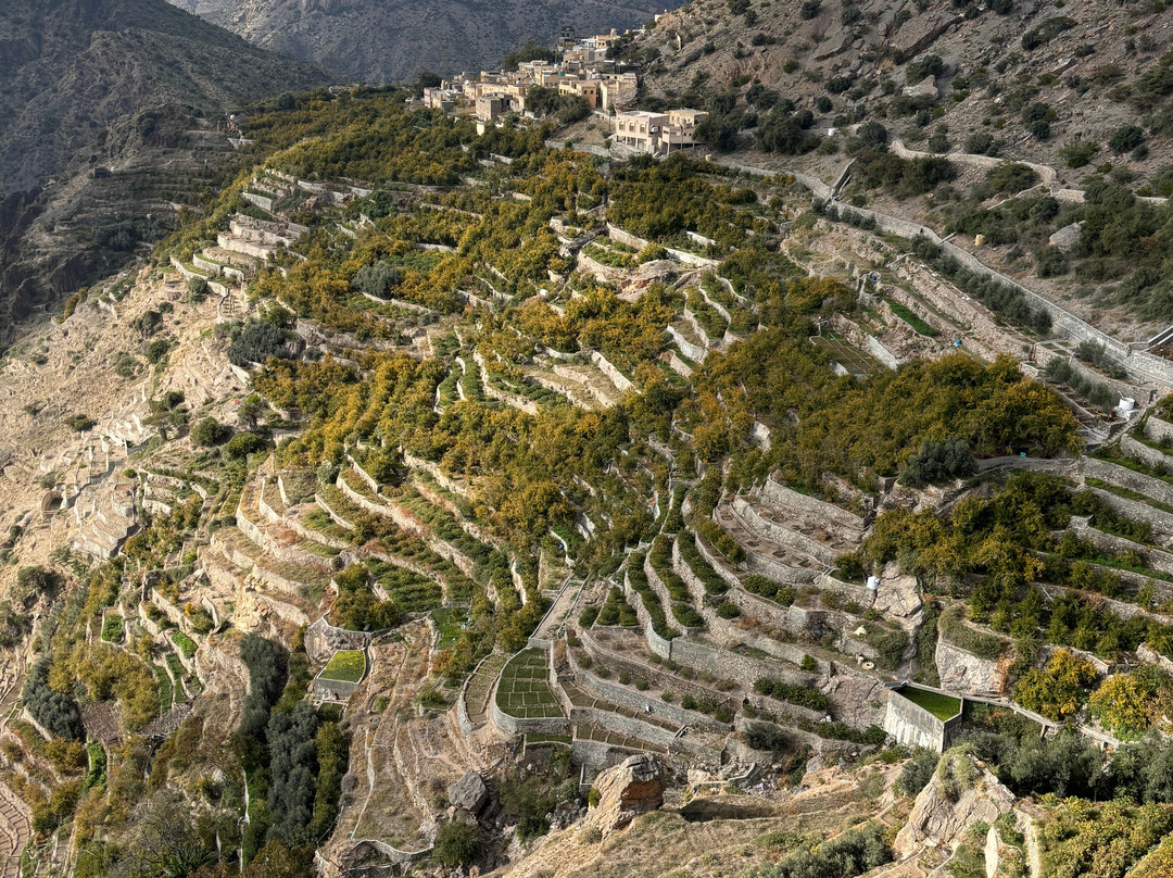 Cady tours-Jabal Akhdar必去景点