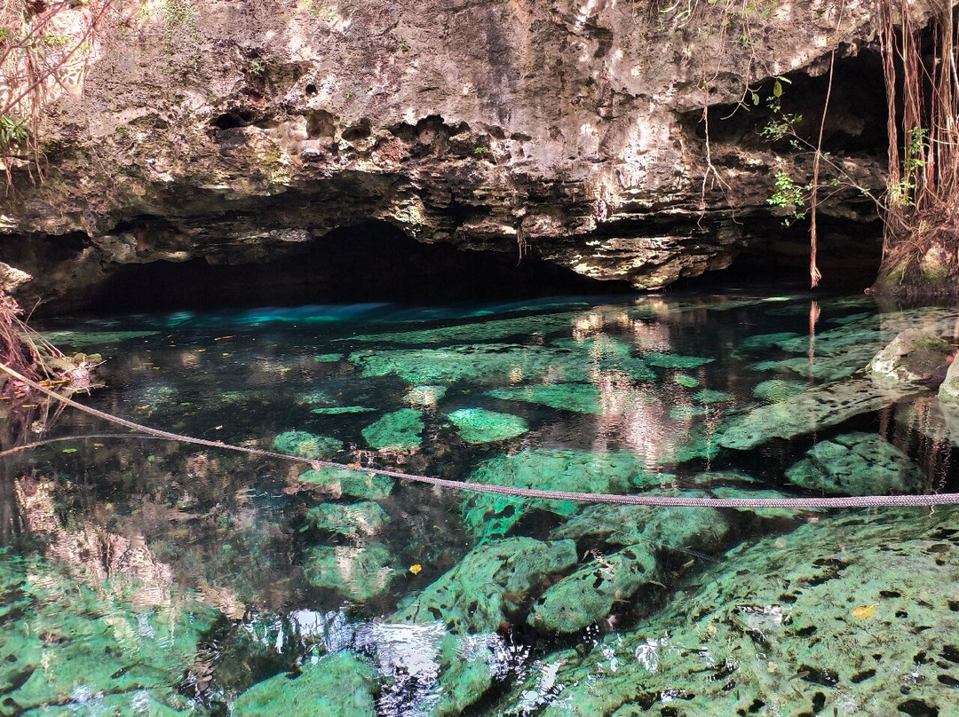 Cenote Cristalino景点图片