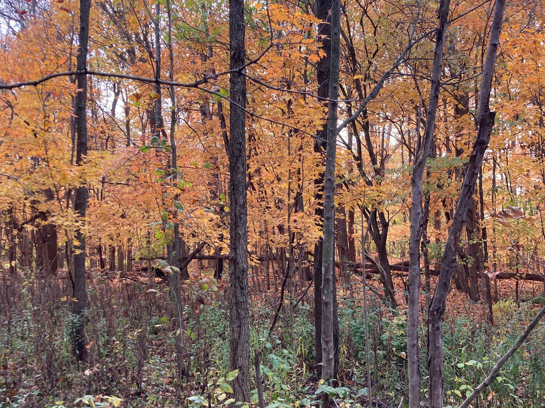 Acres On The Wabash景点图片