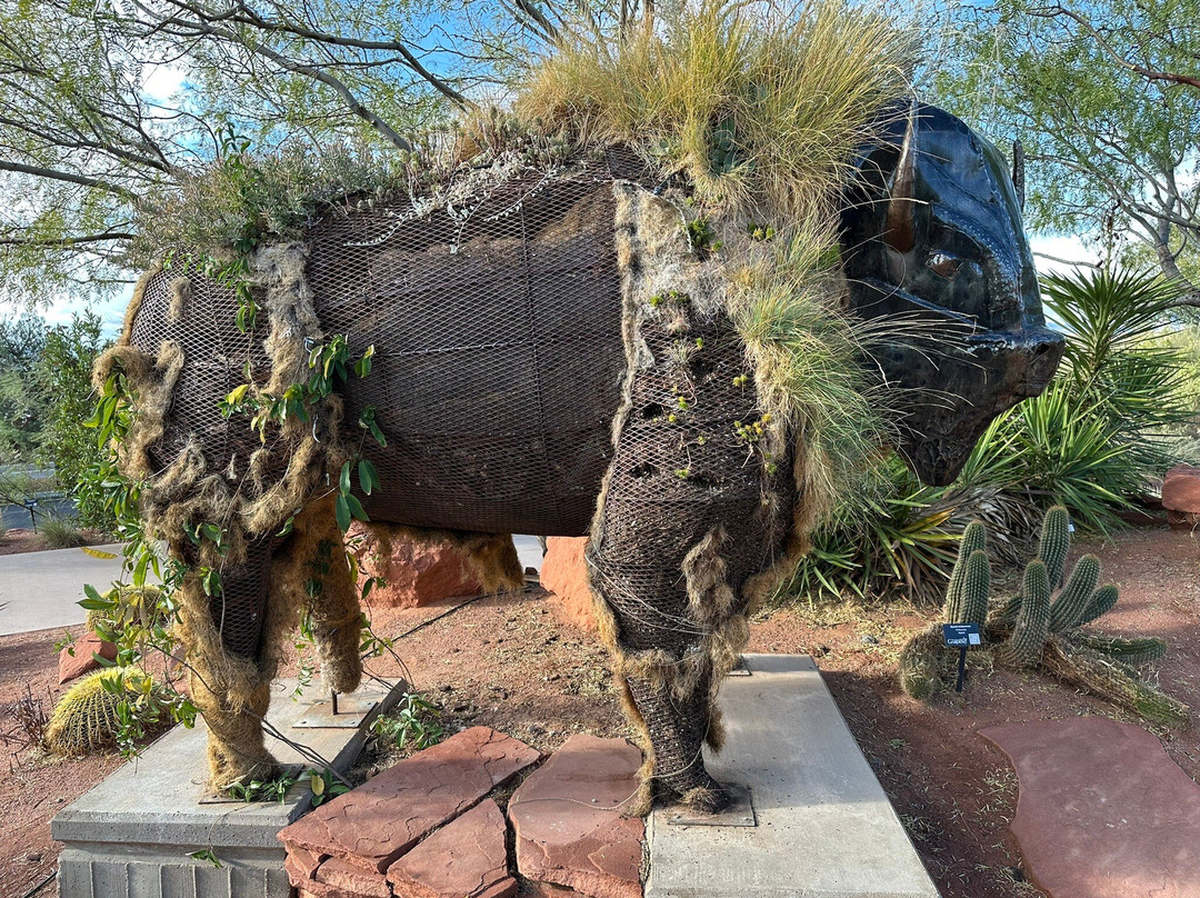 Red Hills Desert Garden-圣乔治必去景点