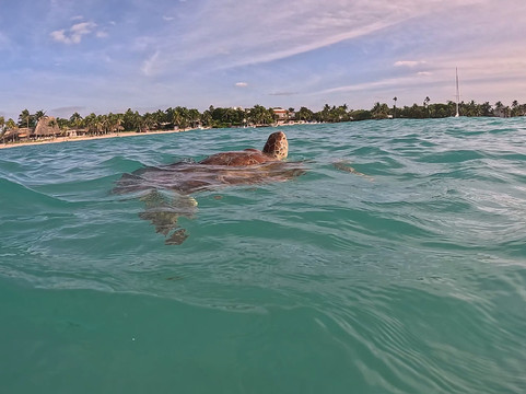 Akumal Dive Shop-艾库玛尔必去景点