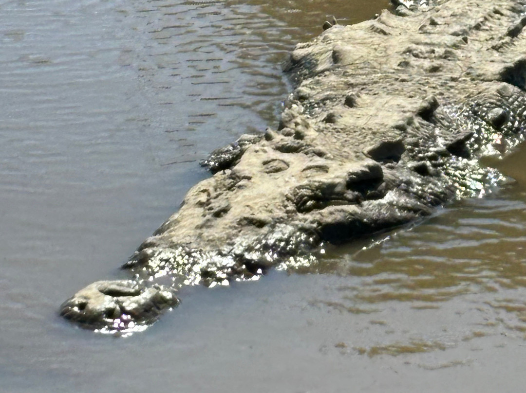 Greenway Nature Day Tours-利蒙港必去景点
