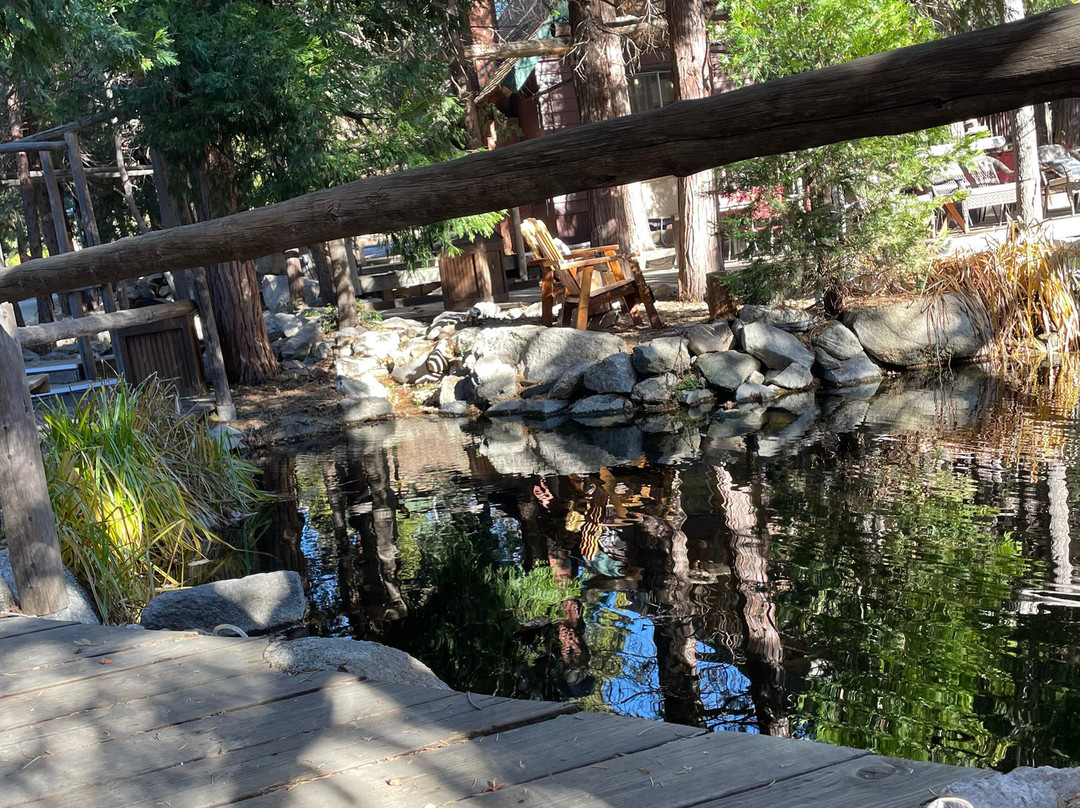 Arrowhead Pine Rose Cabins主图