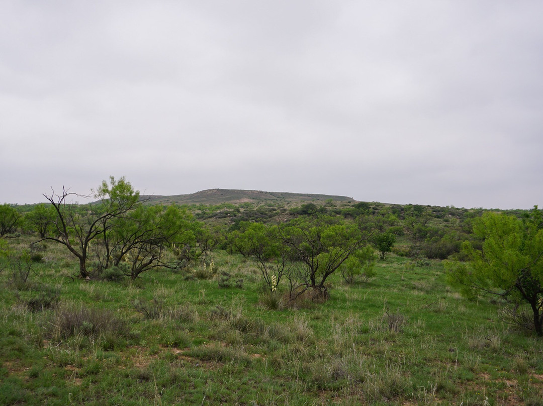 Wildcat Bluff Discovery Center-阿马里洛必去景点