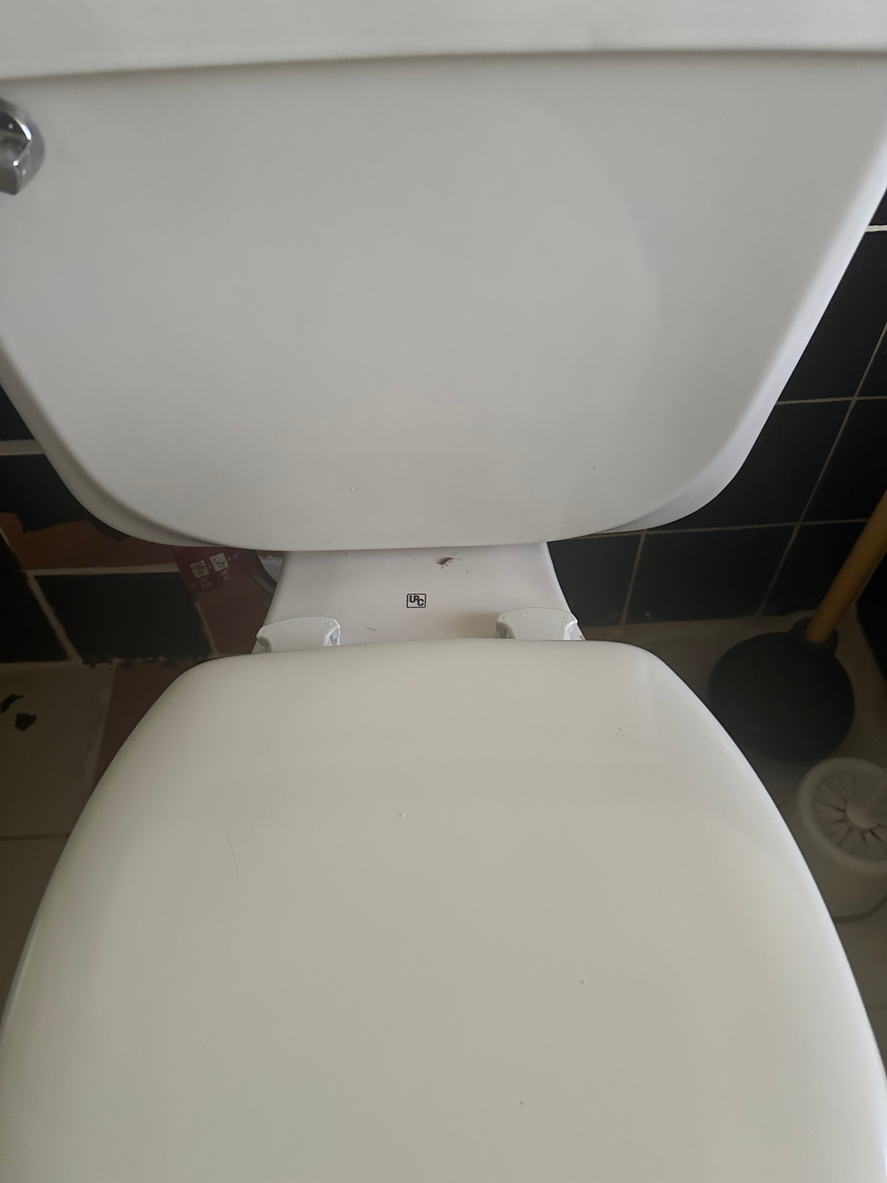 Ocean View Plaza Hotel-官方