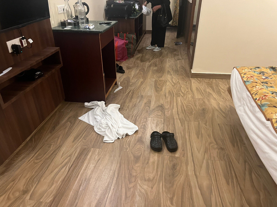 Voyage Alpine Abode主图