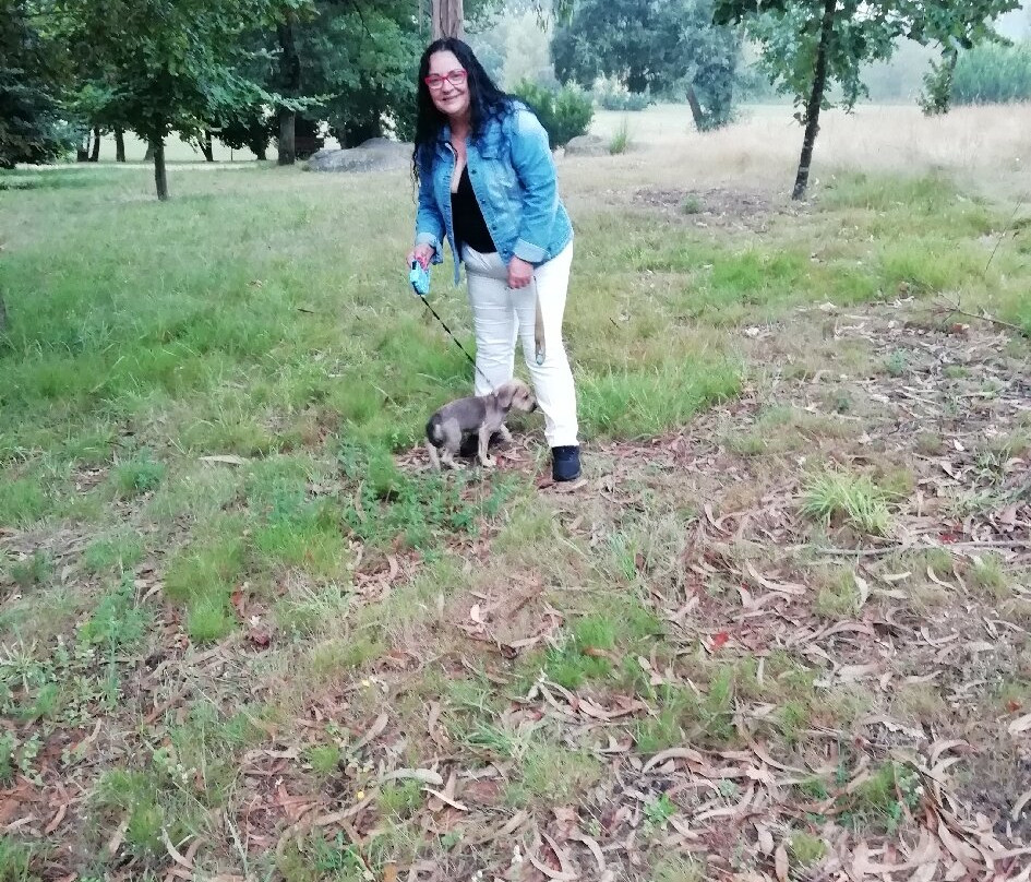 Parque da Devesa景点图片