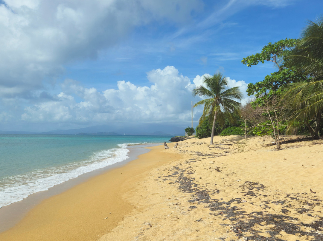 Green Beach-维切克岛必去景点