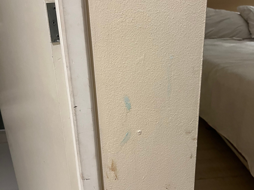 One Saltillo Aeropuerto主图