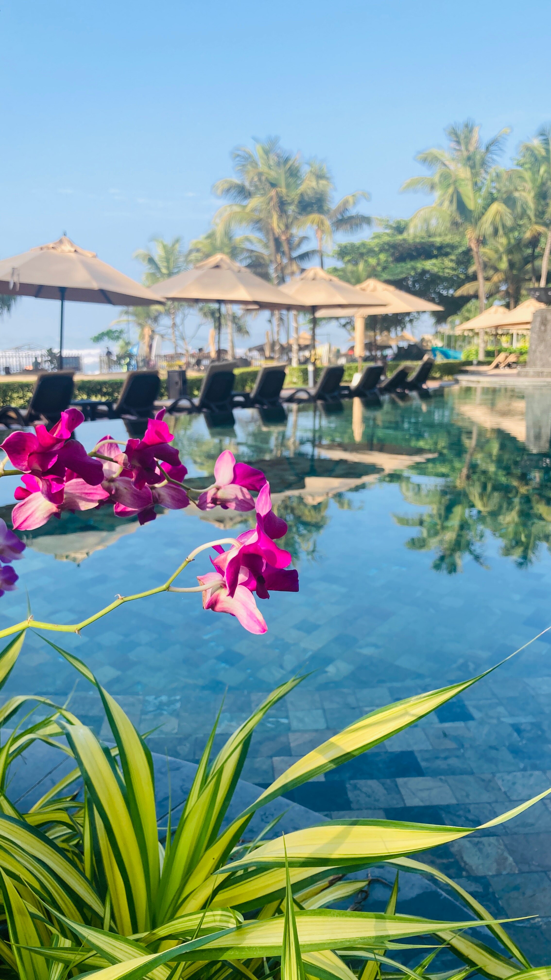 Weligama Bay Marriott Resort & Spa-泳池