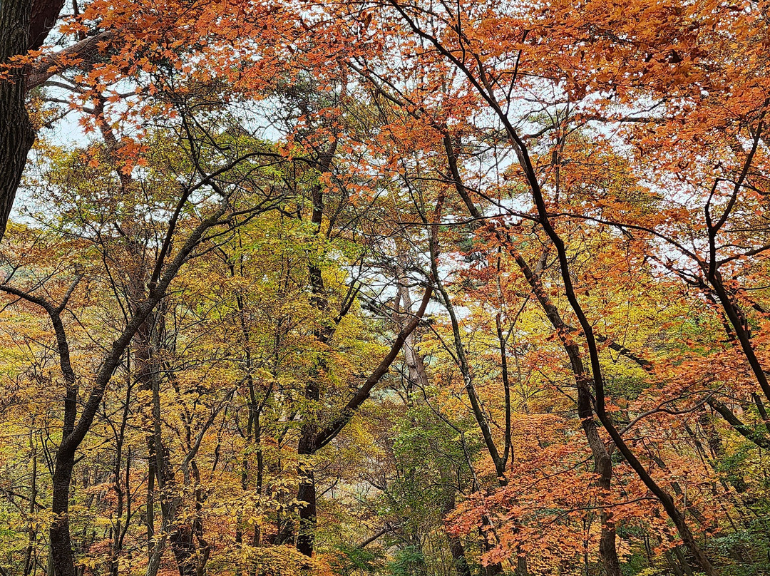 Yongmunsa Temple-杨平郡必去景点