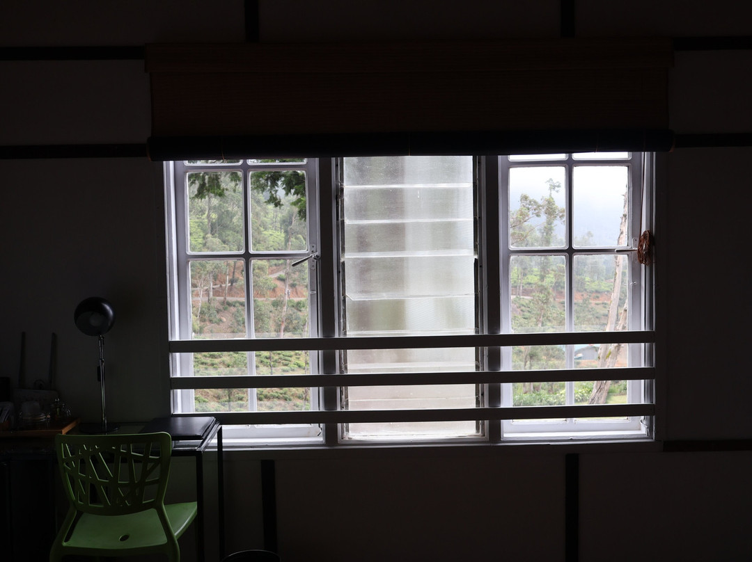 Tea and Experience Factory - Thema Collection主图