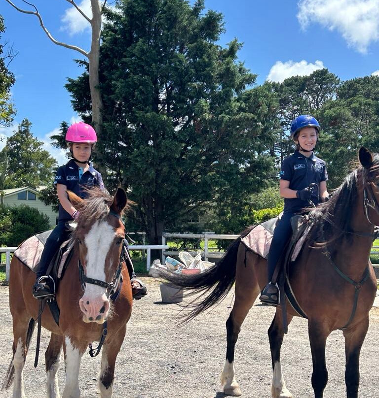 Darkes Forest Ranch-Darkes Forest必去景点