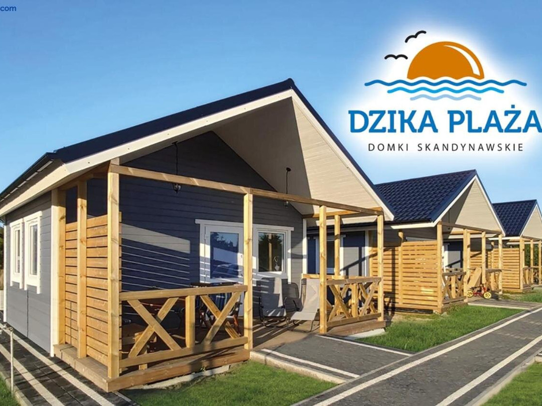 Dzika Plaża Wierzchucino 200