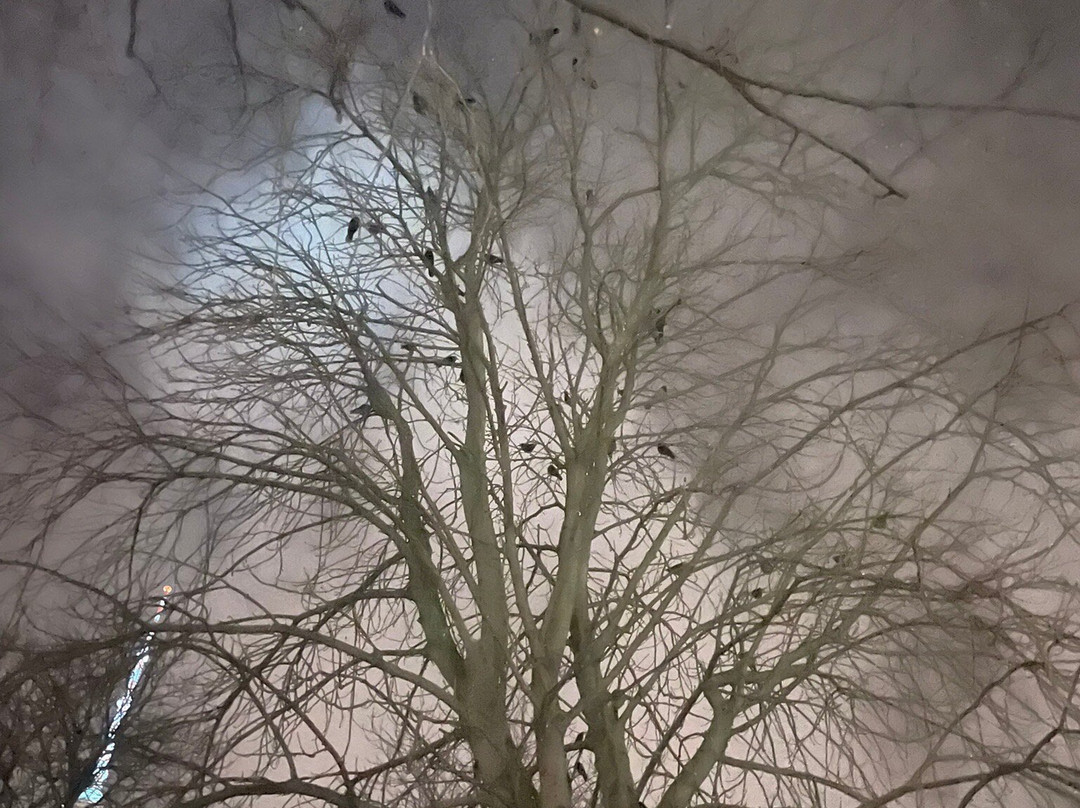 Gruseltour Berlin-柏林必去景点