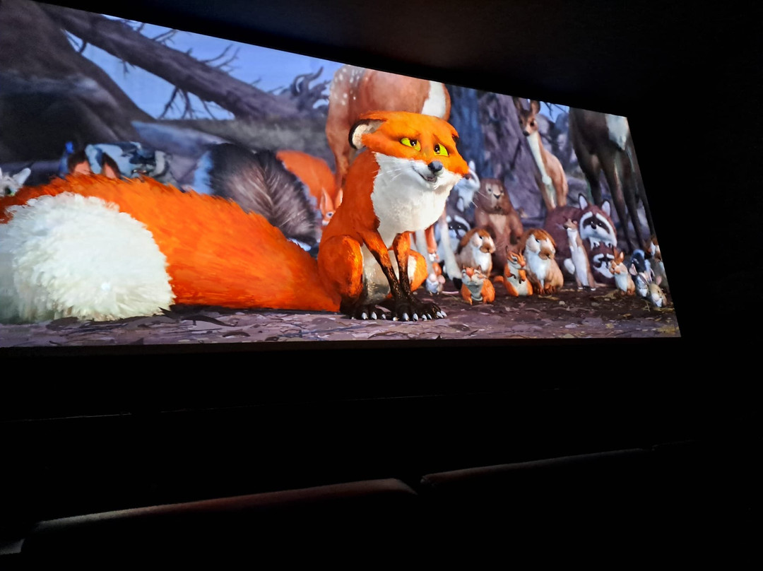 Cinema David景点图片