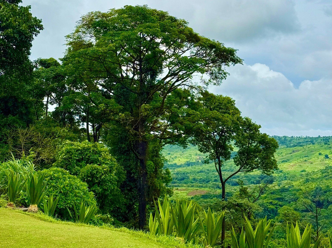 Luzaya-卢安达必去景点