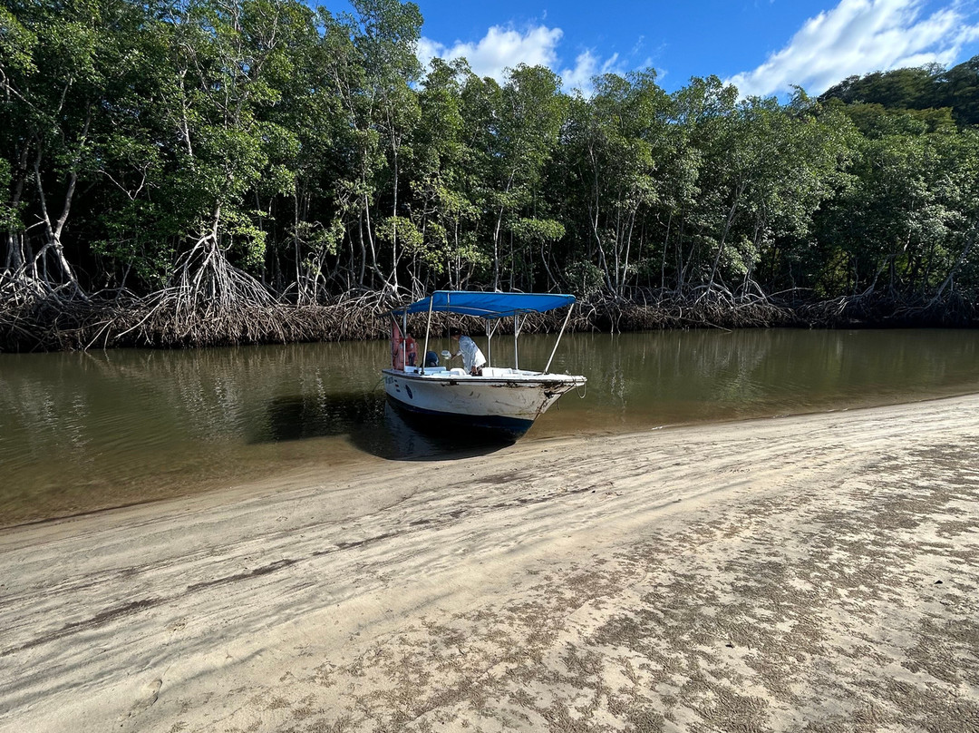Tamarindo Explorer景点图片