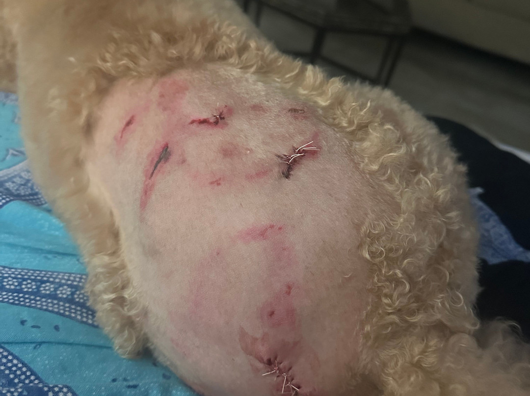 Catarata Salto de Collores-Juana Diaz必去景点