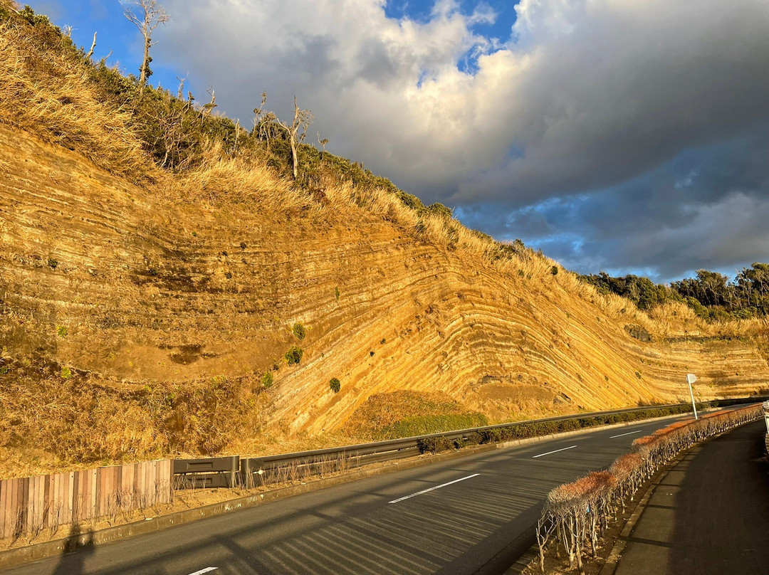 Faulted Strata in Oshima-大岛町必去景点
