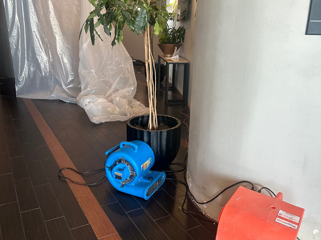 Hampton Inn & Suites Baton Rouge Downtown主图