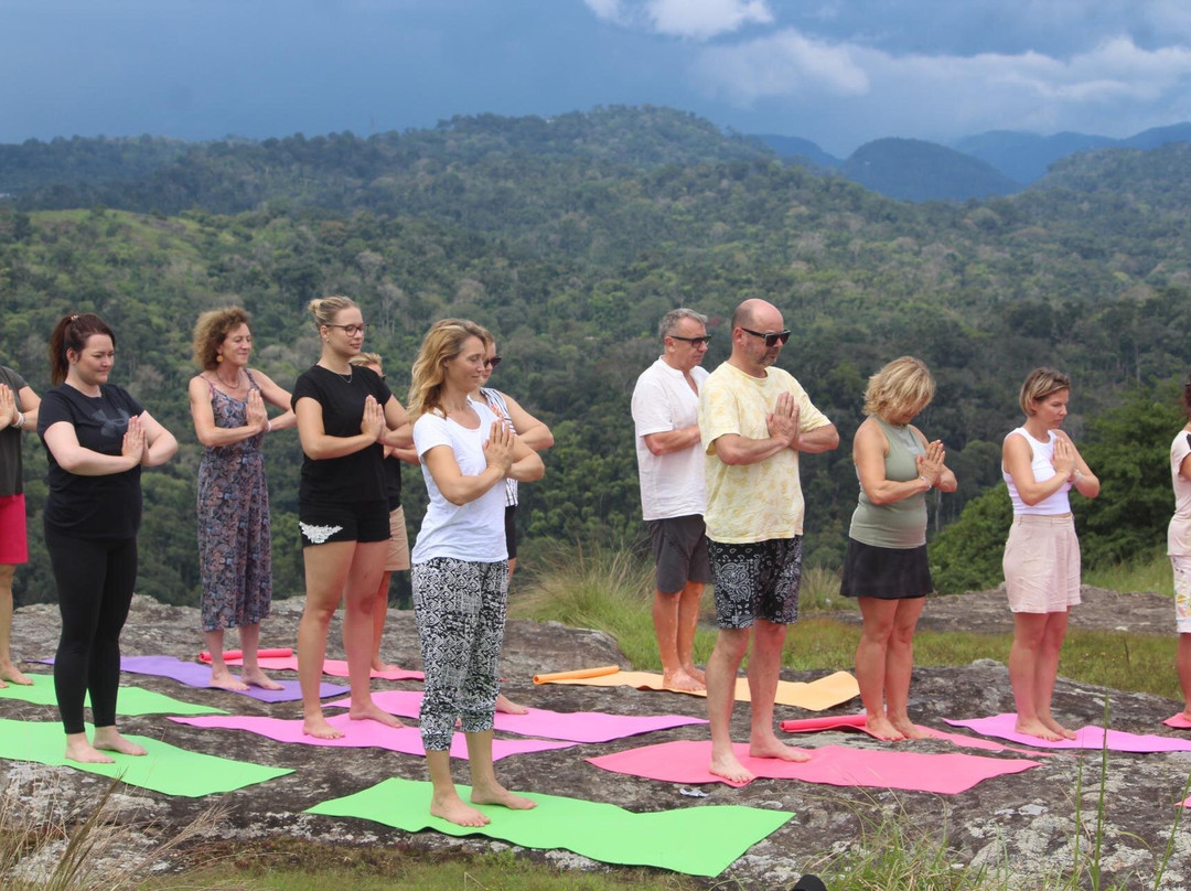 Bodhi Tree-柯钦必去景点