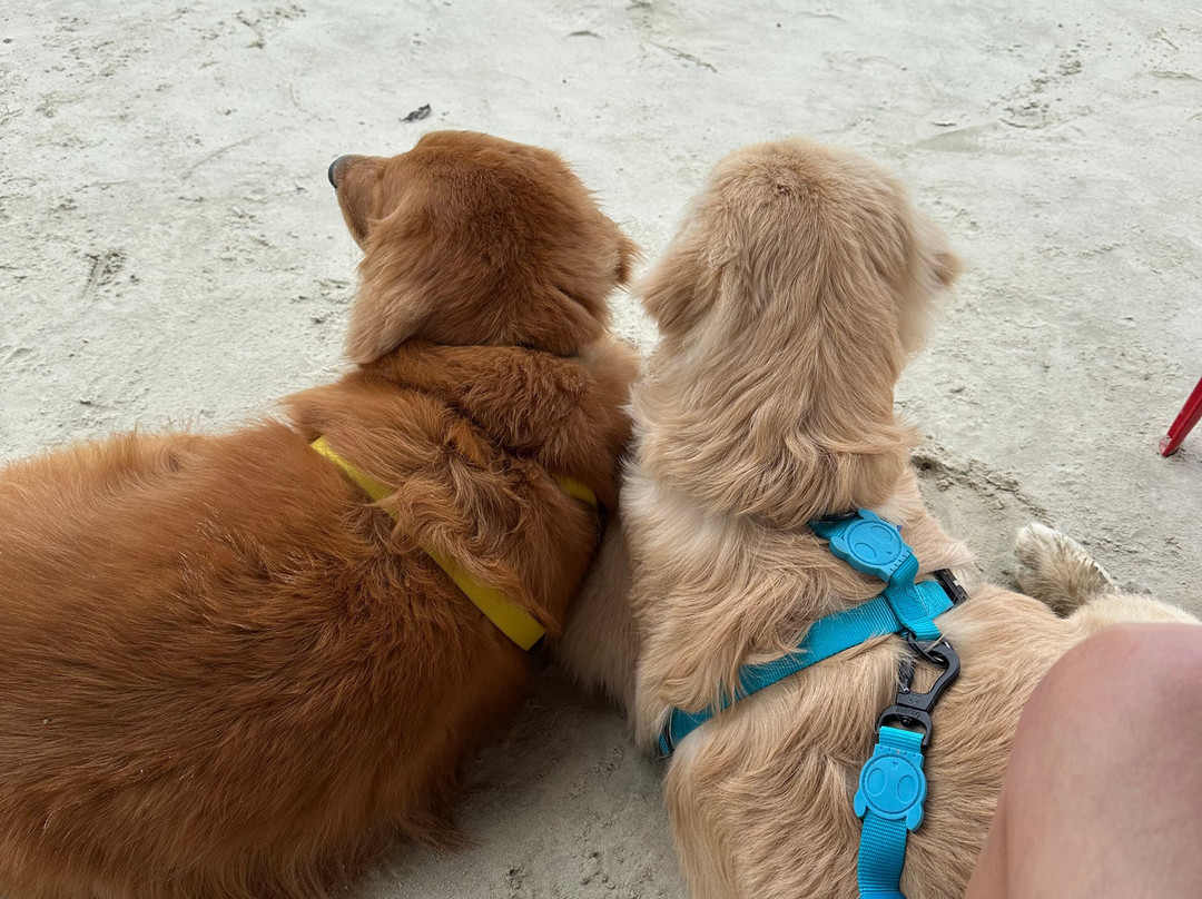 Pousada Portal do Cacau主图